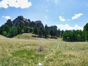 Florissant Fossil Beds