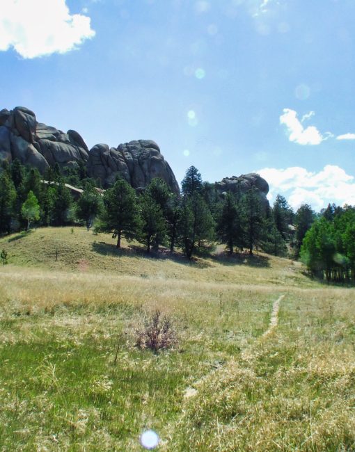 Florissant Fossil Beds