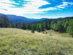 Mueller State Park view